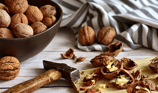 養(yǎng)老服務(wù)：從需求到實(shí)踐，構(gòu)建多元適配的晚年生活支持體系